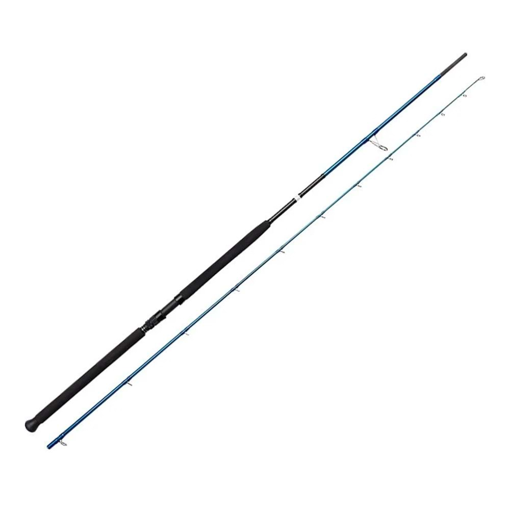 Savage Gear SGS2 Shore Jigging 9'6''/2.90m 20-80 gr 2 Parça