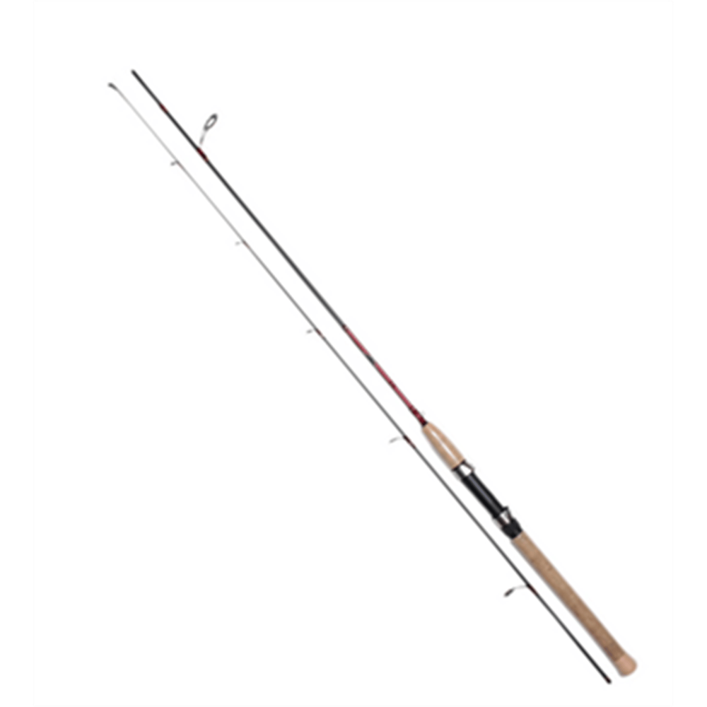 JAPANA 10-40 ATAR KARBON SPİN KAMIŞ 2.70 M.