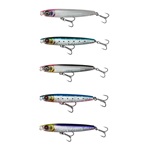 Pink Belly Sardine