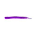 PURPLE WORM