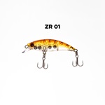 ZR01