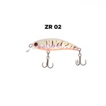 ZR02
