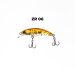 ZR06