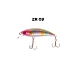 ZR09