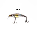 ZR10