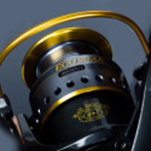 RYOBI ECUSIMA - 6000 Vİ