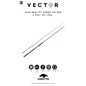 Caretta Vector 2.95 m 40-120 g Shore Jig Rod