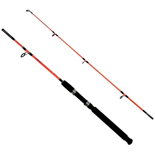 Kendo Holiday Boat 1.65m 100-250gr 2 Parça Olta Kamışı