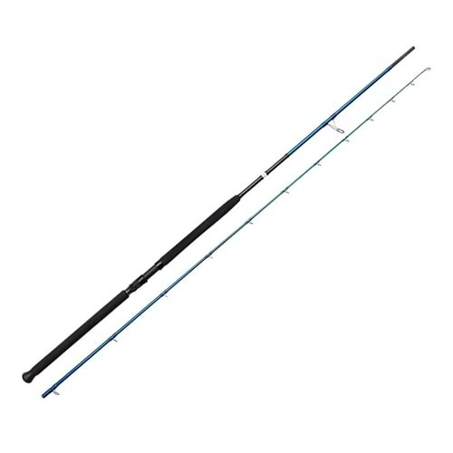 Savage Gear SGS2 Shore Jigging 9'6''/2.90m 20-80 gr 2 Parça