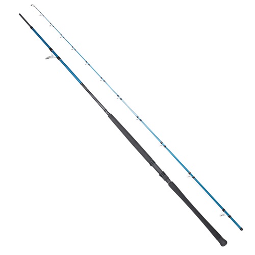 Ryuji Shore Game Fuji 2.95m 30-100gr 2P Shore Jig Kamış