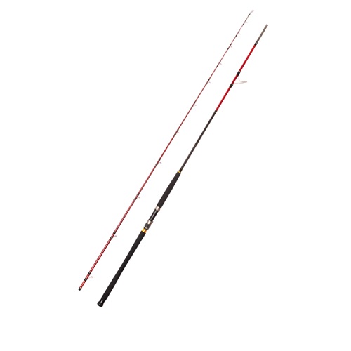 Caretta Vector 2.95 m 40-120 g Shore Jig Rod