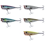 05-Blue Sardine