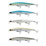 Sunset Sardine