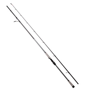 RYUJI MATRIX FUJI 2.80M 25-80 GR 2P SHORE JIG KAMIŞ