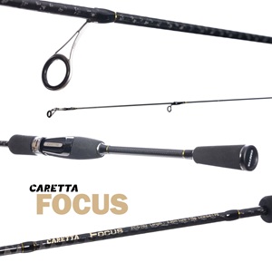 Caretta Focus 2.30 cm 1.15 Gr